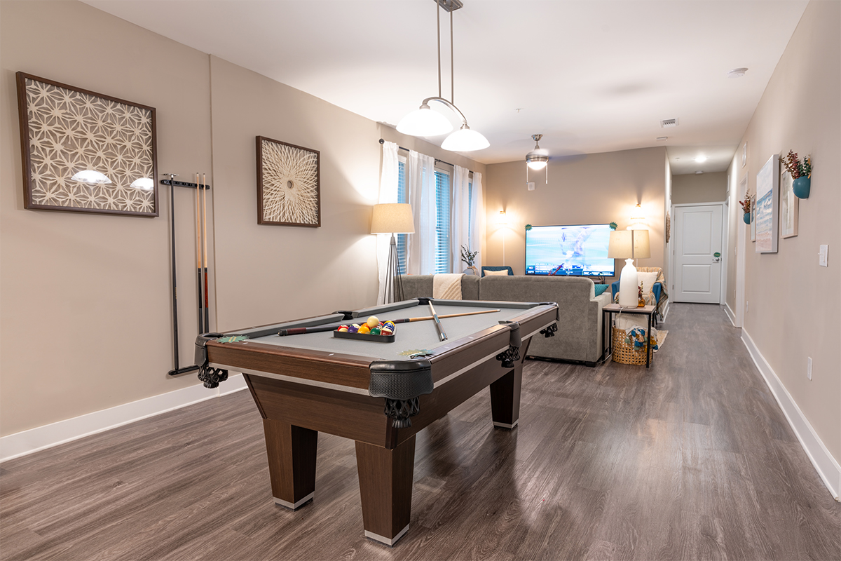 Furnished living space with a pool table