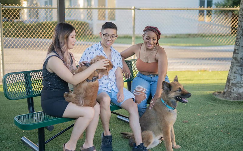 People sitting at the bench with a dog