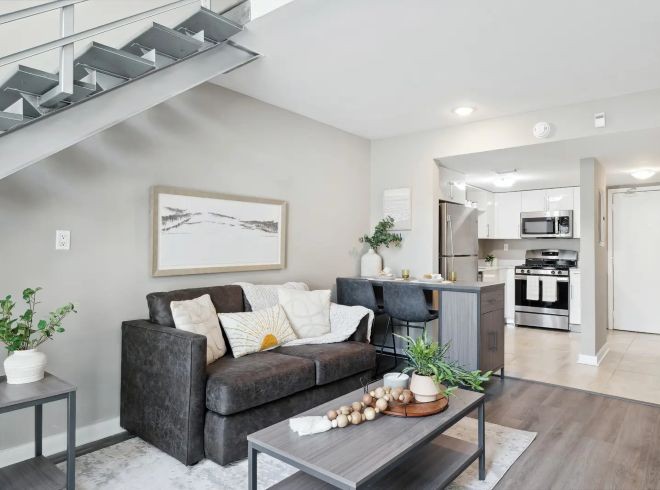 Furnished apartment living space